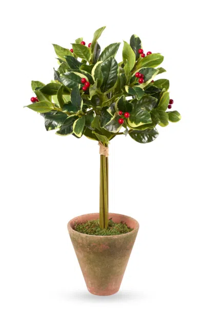 Diane James Designs Holly Topiary In Mossy Planter In Multi
