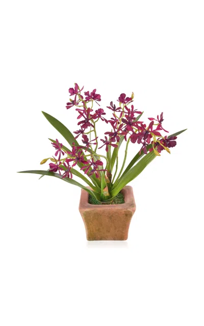Diane James Designs - Mini Burgundy Cattleya Orchid In Mossy Planter - Burgundy