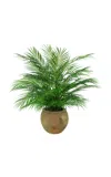 Diane James Designs Palm Plant In Mossy Terracotta Planter In Green