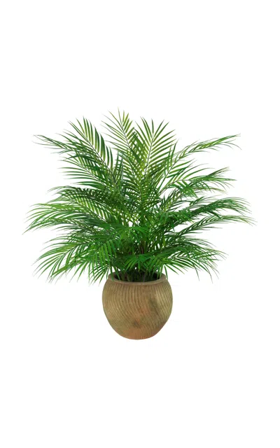 Diane James Designs Palm Plant In Mossy Terracotta Planter In Green