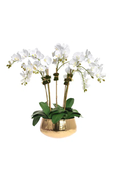 Diane James Designs - Phalaenopsis Orchids In Gold Bowl - White -