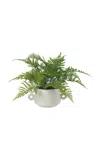 Diane James Designs Small Fern In Ceramic Pot In Green