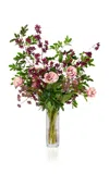 Diane James Designs Tulips And Plum Branches In Tall Glass Vase In Multi
