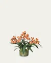 Diane James Rust Cymbidium Orchid Stems 22" Faux Floral Arrangement In Glass Cylinder With Moss