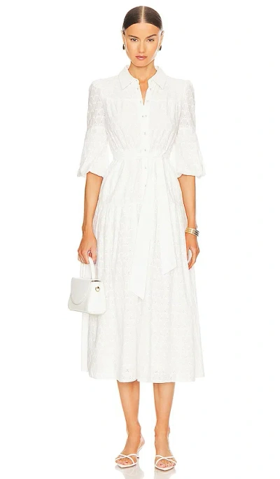 Diane Von Furstenberg Aveena Dress In Ivory