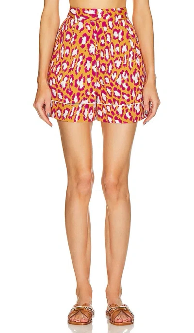 Diane Von Furstenberg Balbino Short In 自然豹纹