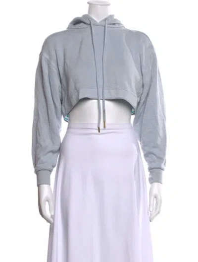 Pre-owned Diane Von Furstenberg Crew Neck Long Sleeve Hoodie In Blue