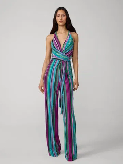 Diane Von Furstenberg Daphne Jumpsuit In Multi