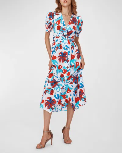 Diane Von Furstenberg Heather Pleated Floral-print Midi Dress In Brush Floral Red