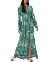Diane Von Furstenberg Oretha Floral-print Maxi Dress