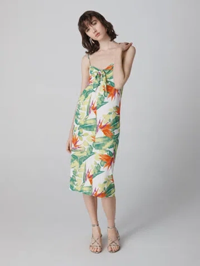 Diane Von Furstenberg Roma Dress In Birds Of Paradise