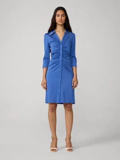 Diane Von Furstenberg Sheska Dress In Blue