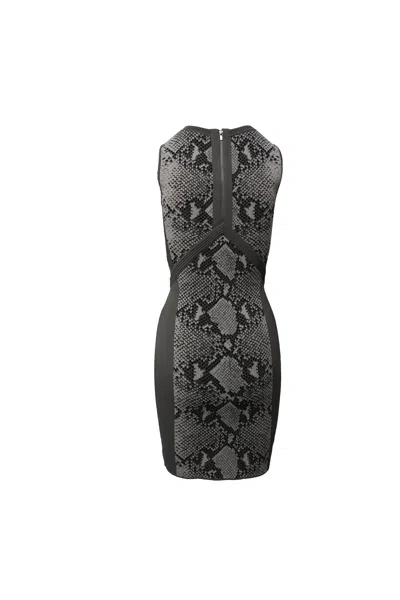Diane Von Furstenberg Snake Print Dress In Grey Rayon