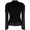 Diane Von Furstenberg Remy Mesh Turtleneck Top In Black