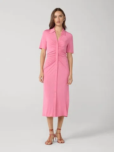 Diane Von Furstenberg Zoey Dress In Pink
