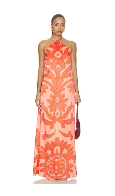 Diarrablu Aria Dress In Elia Rose