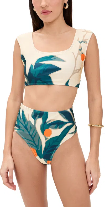 Diarrablu Cayla Swim Bikini Set Zest Navy In Multi