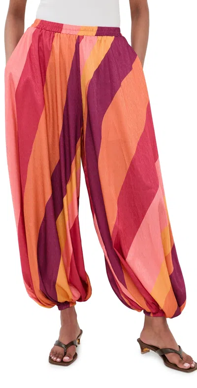 Diarrablu Genie Pants Sano Rose In Multi