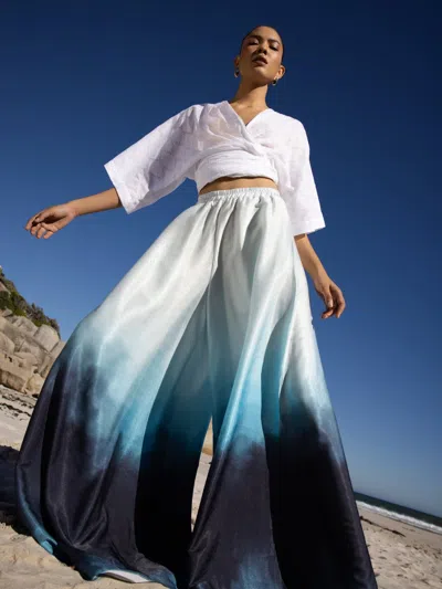 Diarrablu Jant Pants In Skye Blu