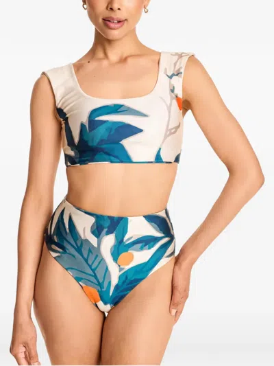 Diarrablu Leaf-print Bikini In Blue