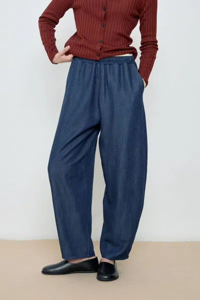 Diarte Aron Denim Pants In Blue In Brown