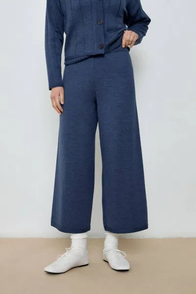 Diarte Porter Pants In Blue Melange In Multi