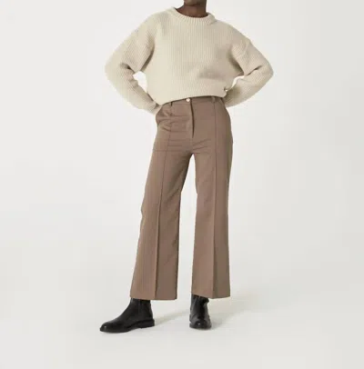 Diarte Vena Trousers In Mocha In Beige