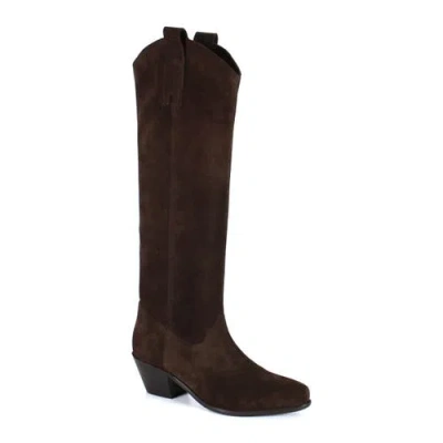 Diba True Ame Thyst Suede Knee High Boot In Brown