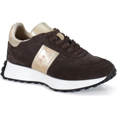 Diba True Know It All Comfort Casual Sneaker In Brown