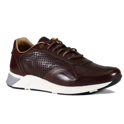 Diba True Men's Ra Low Down Sneaker In Chocolate In Brown