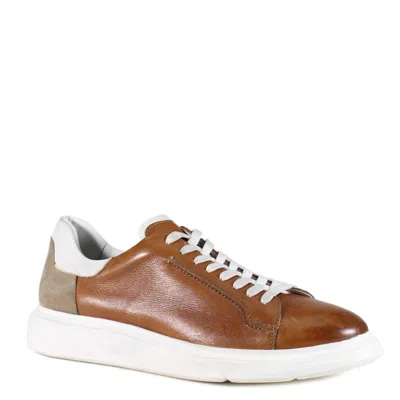 Diba True Men's Tim Ber Leather Lace-up Sneaker In Tan/white/taupe In Brown