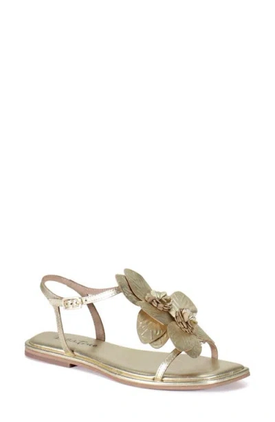 Diba True Per Shing Sandal In Gold