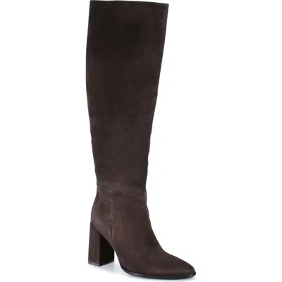 Diba True Text Back Suede Stove Pipe Tall Boot In Brown
