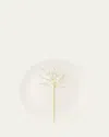 Dibbern Golden Forest Buffet Plate