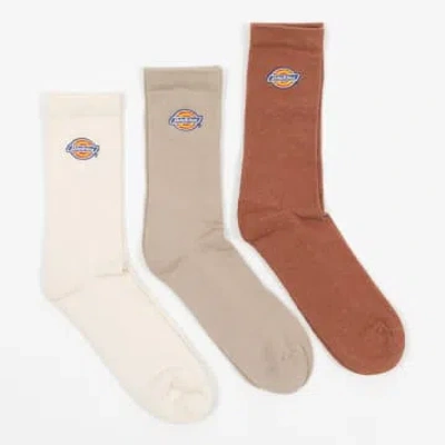 Dickies 3 Pack Valley Grove Logo Socks In Beige In Neturals