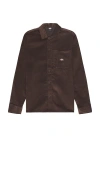 Dickies Corduroy Long Sleeve Shirt In Chocolate Brown