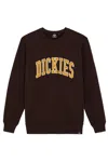 Dickies Aitkin Sweatshirt