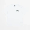 DICKIES AITKIN T-SHIRT IN WHITE & DARK FOREST