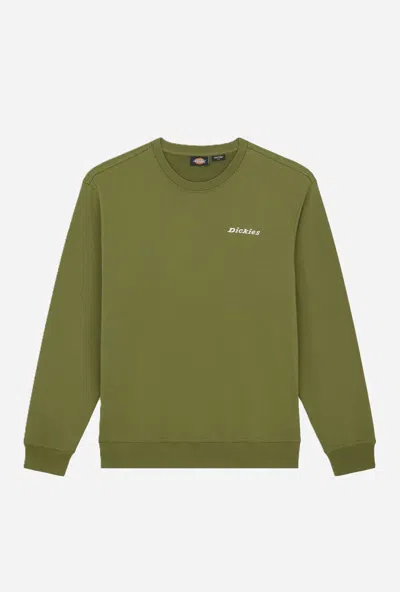 Dickies Black Cypress Green Man Neck Sweatshirt In Other