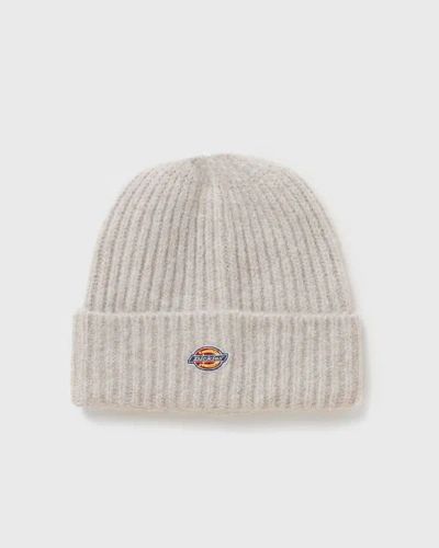 Dickies Brewton Beanie In Neutral