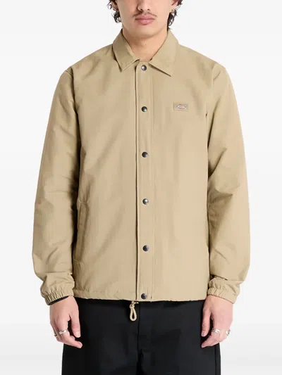 Dickies Classic-collar Jacket In Brown