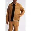 Dickies New Canvas Jacket In Brown, Men's At Urban Outfitters In Braun