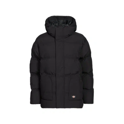 Dickies Doudoune Matelassée À Capuche In Black