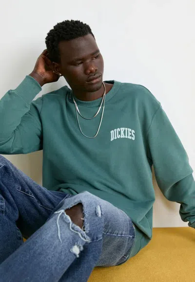 Dickies Female  Aitkin Chest Sweat Dk0a4ybg J951 In Green