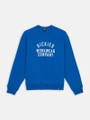 Dickies Female  Graphic Hoodie 3 - Dk0a85st J531 Turkish Sea In Blue