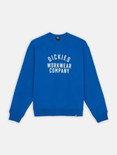 Dickies Female  Graphic Hoodie 3 - Dk0a85st J531 Turkish Sea In Blue