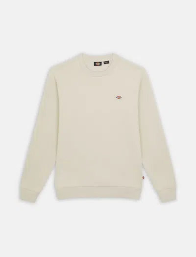 Dickies Female  Oakport Sweat - Dk0a4xce F90 Whitecap Gray In Neutral