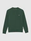 Dickies Female  Oakport Sweat - Dk0a4xce In1 Pine Needle In Multi