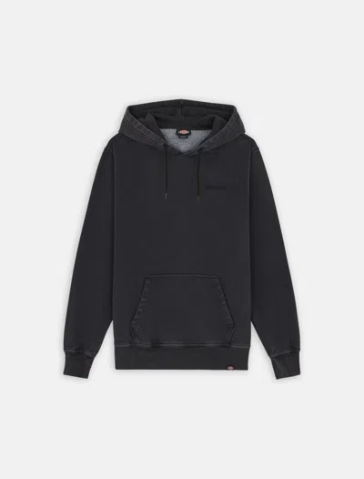 Dickies Female  Plentywood Hd - Dk0a866d Blk1 Black