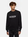 Dickies Female  Script Sweatshirt - Dk0a85sv Blk1 In Multi